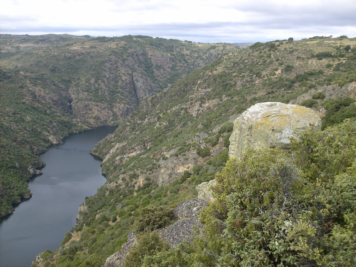 Refúgio do  Douro Guest House