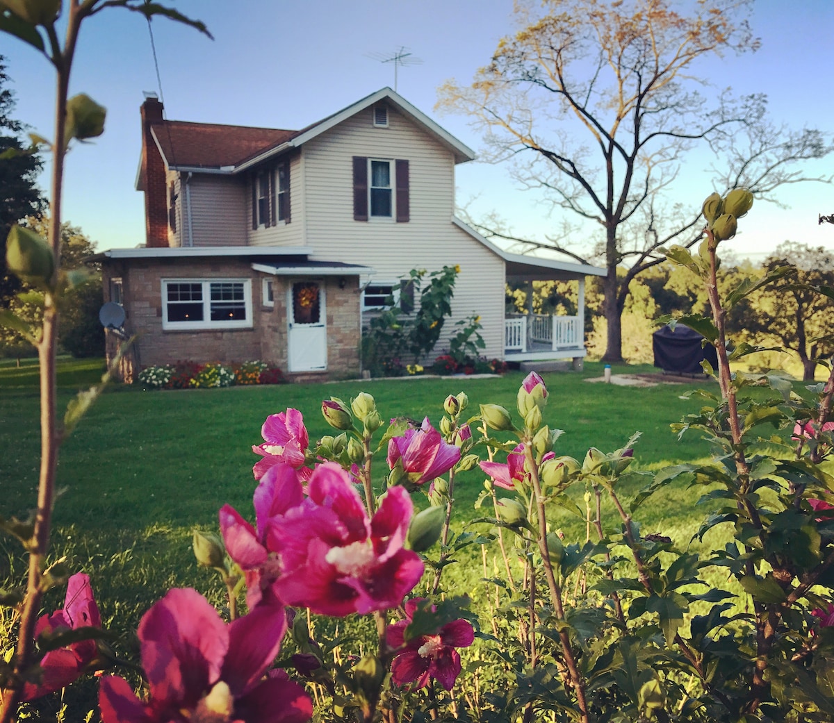 East Sandy Homestead Farm