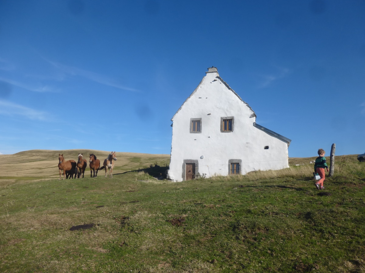 Buron de La Loubeyre - Haut