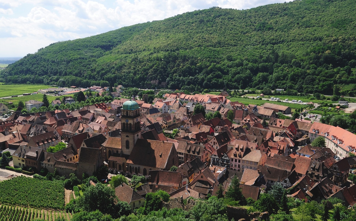 Au Pied Du Nid De Cigogne