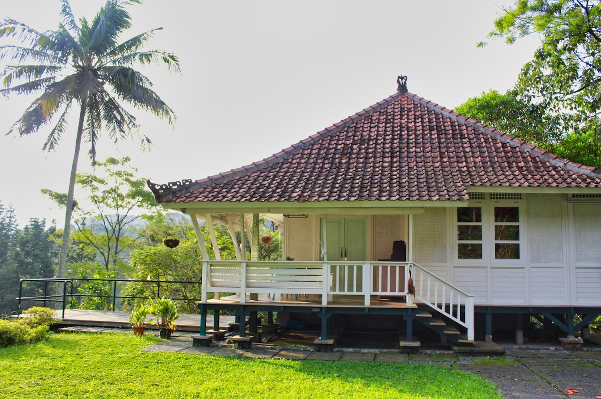 Dharma Residence Villa Collection at Gadog