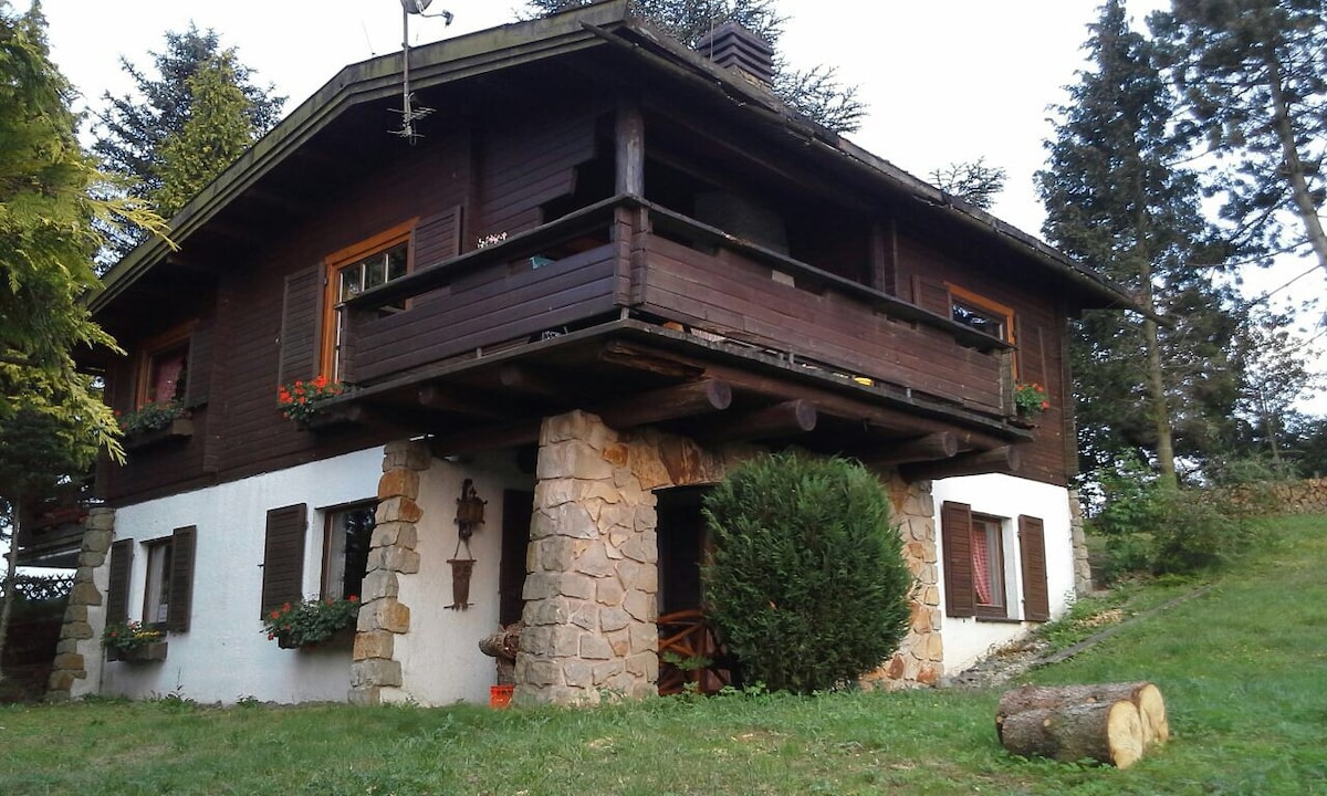 Bühberg上的房子，带露台的2号公寓