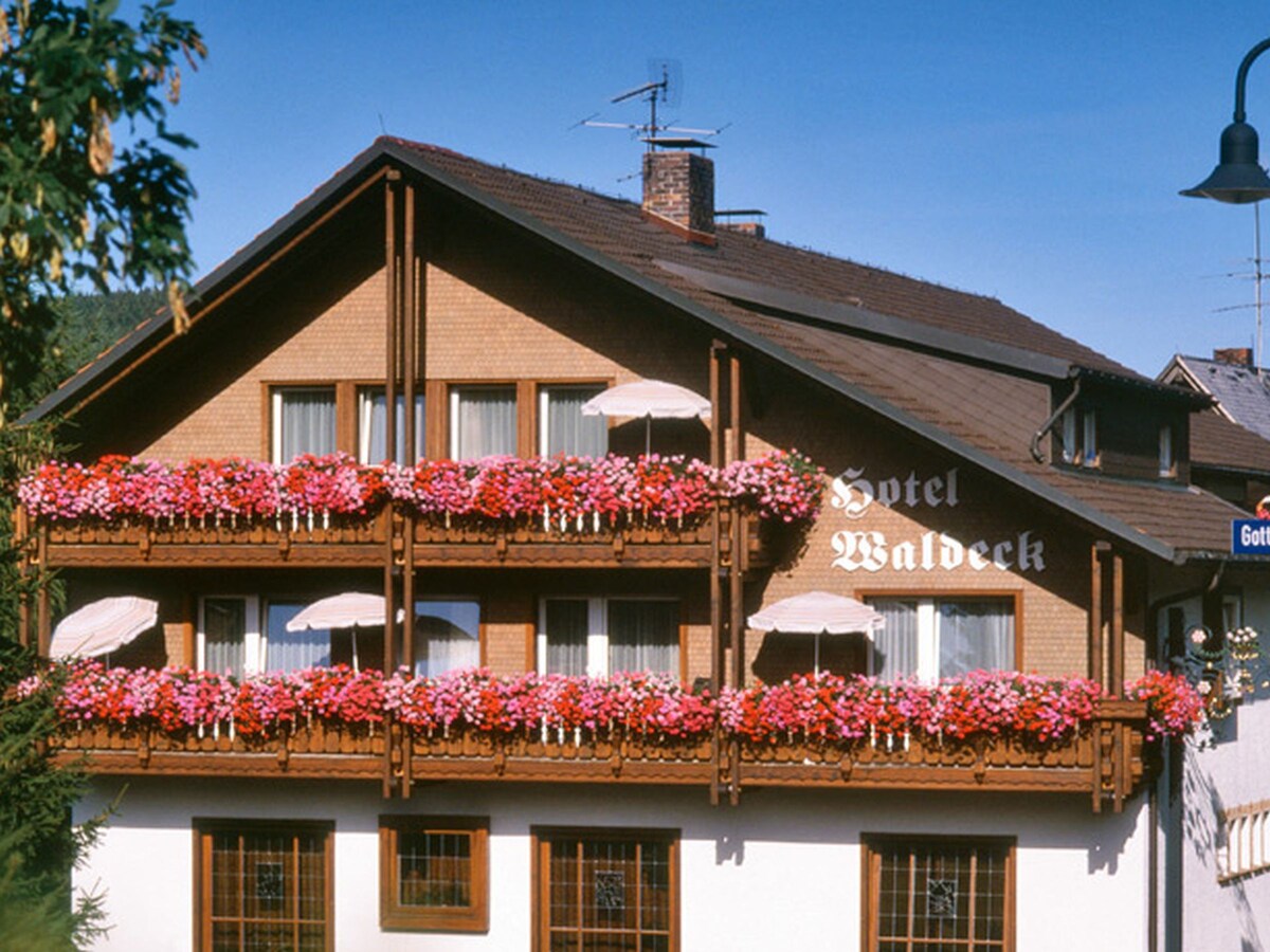 Waldeck酒店，带餐厅Florian 's ， （ Feldberg-Altglashütten ） ，双人客房「经济」， 20平方米，带淋浴/卫生间和阳台