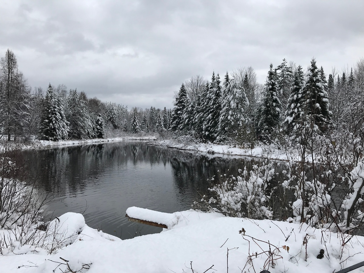 在L'Orée des bois, Nature, Rest, Outdoors