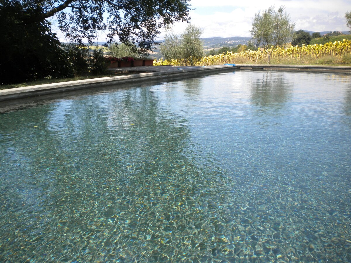 Appartamento in un antico casale con piscina