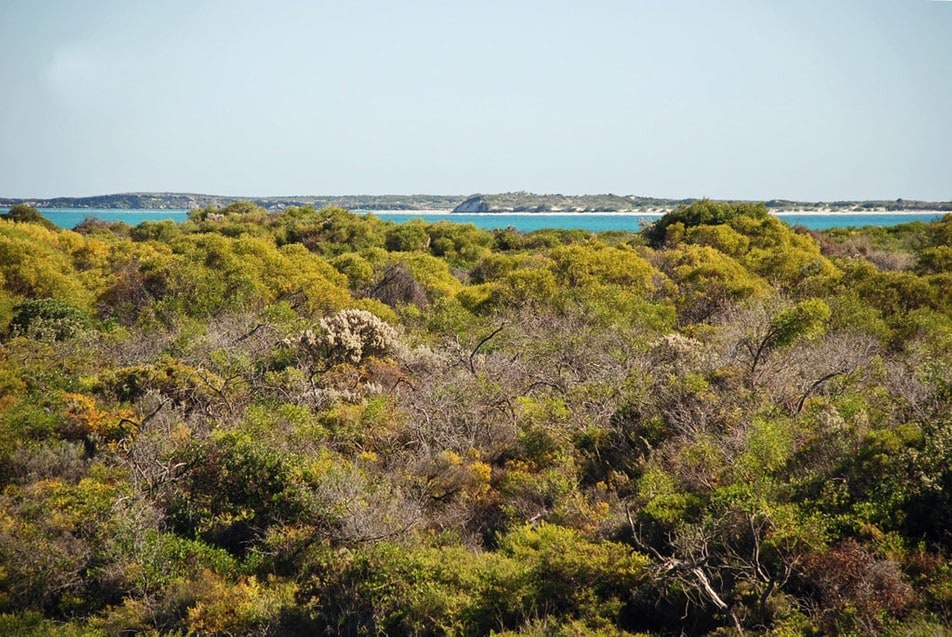 JBay Escape -海景、无线网络、Netflix