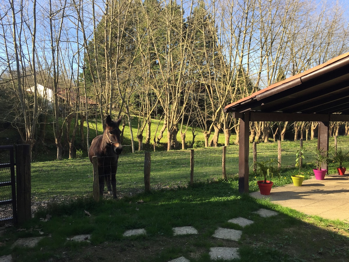 Maison (Location semaine) face au Moulin du XVII