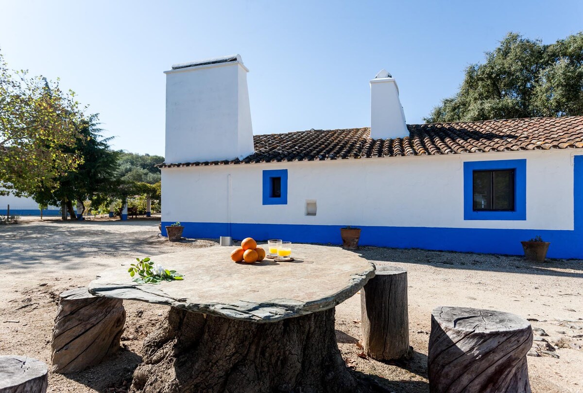 A small Paradise in Évora, a typical farm - T2