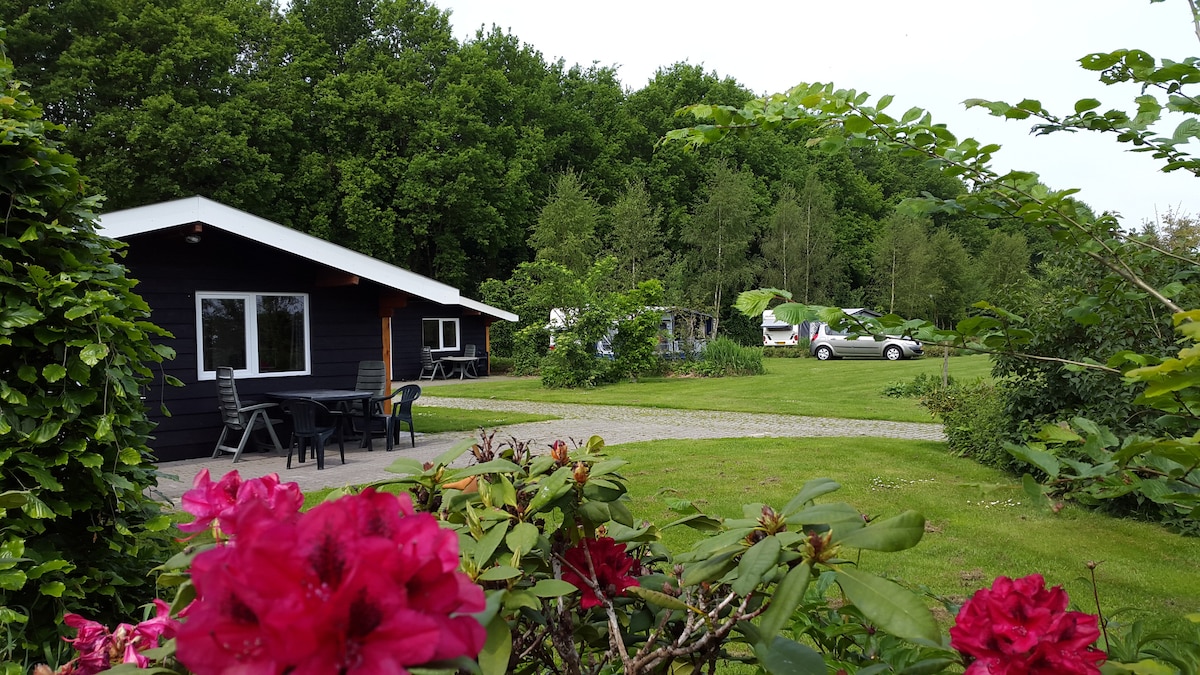 Loeigoed overnachten in een KOEle lodge