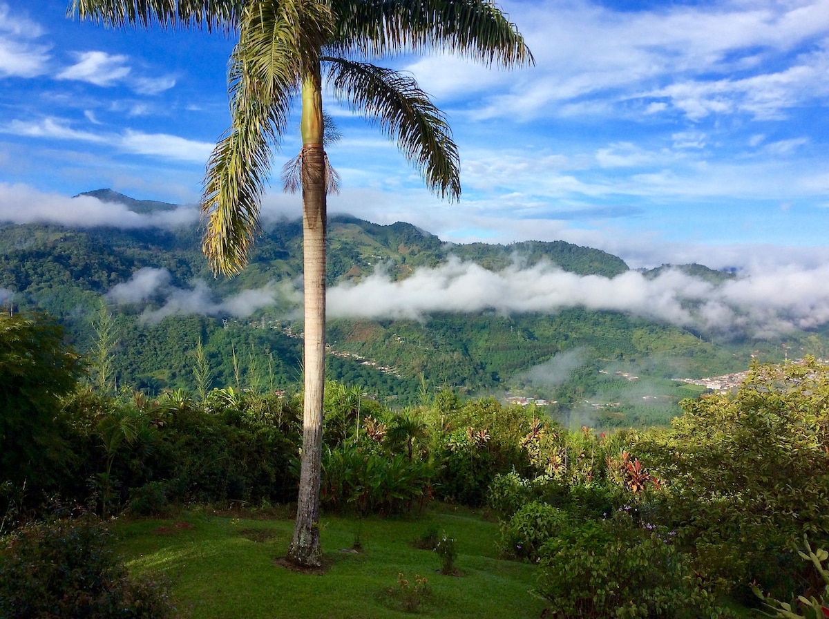 Glorious Nature Mountains 1 BR/1 Bath/Pool/Hot Tub