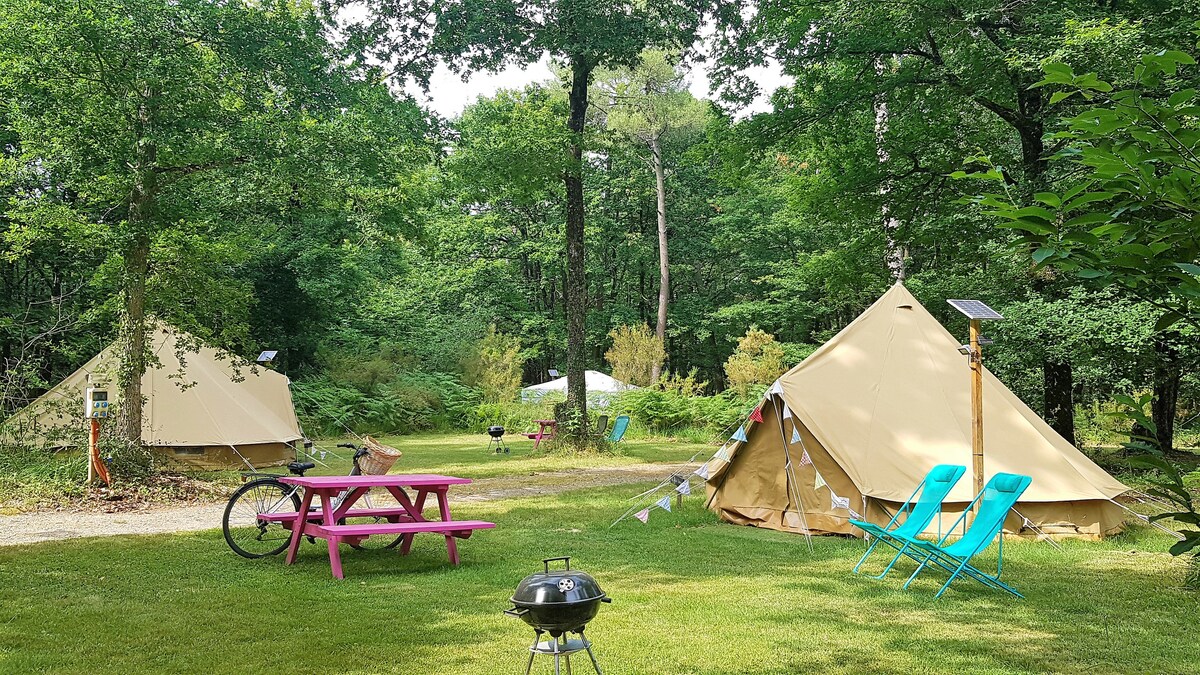 在美丽的3星级露营地上露营6米钟形帐篷