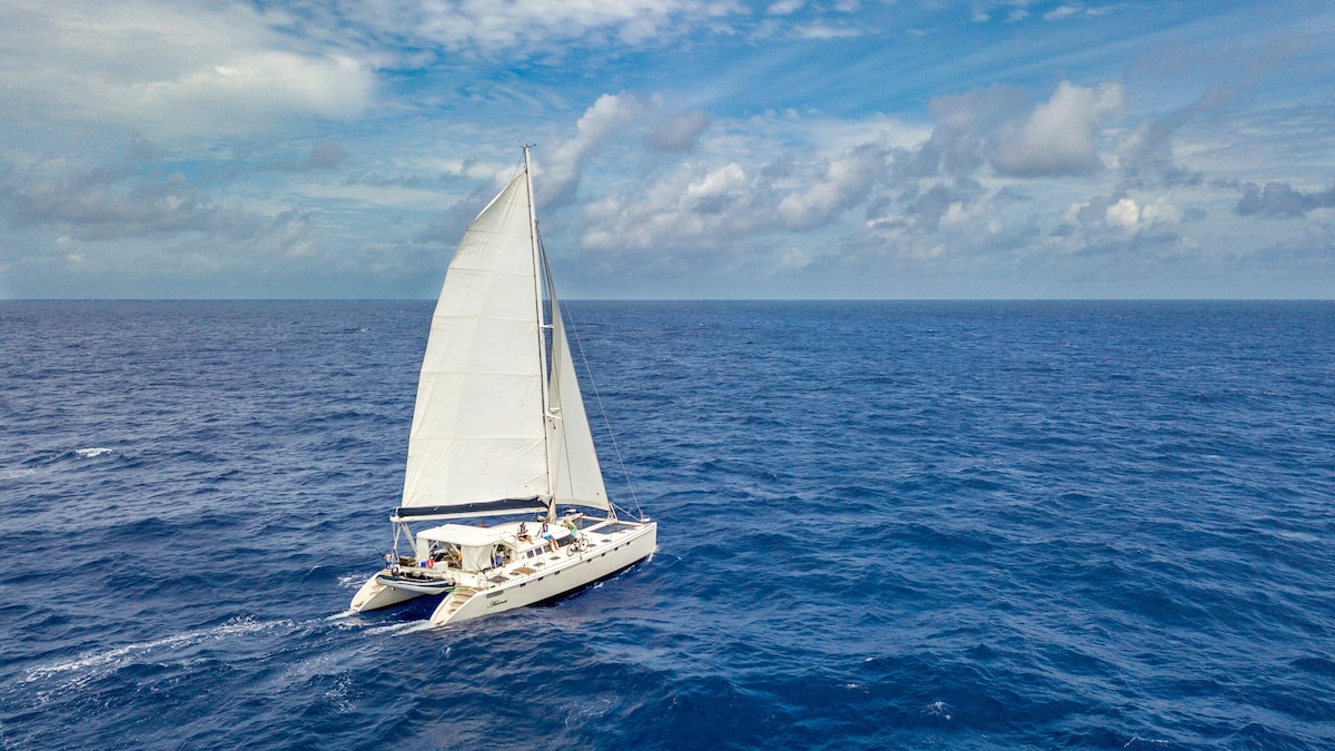 Beautiful Catamaran Ready to Sail the Abacos!