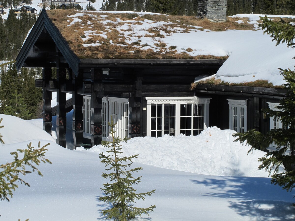 Hütte on Hafjell