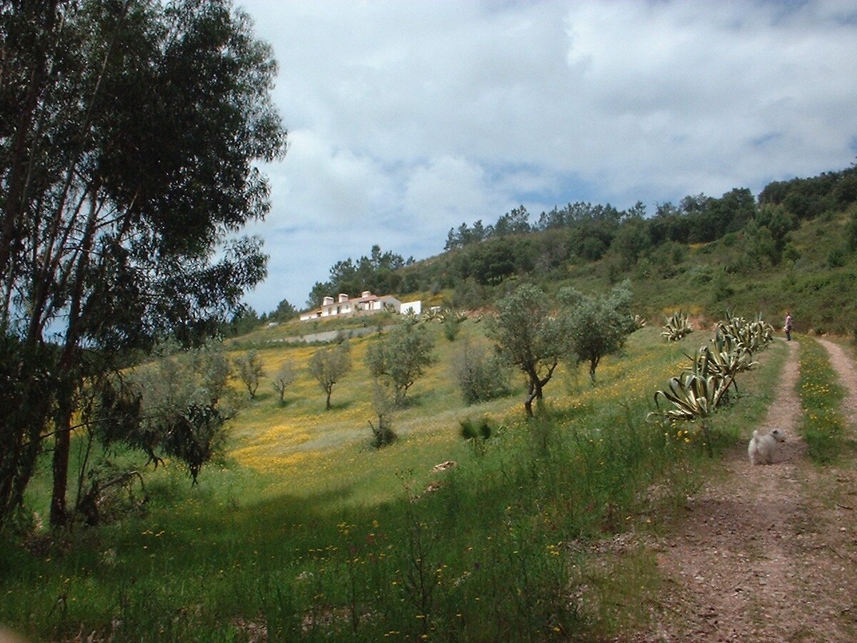 Monte Cerro da Vigia ，位于Rota Vicentina