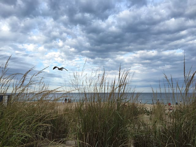 里霍博斯海滩(Rehoboth Beach)的民宿