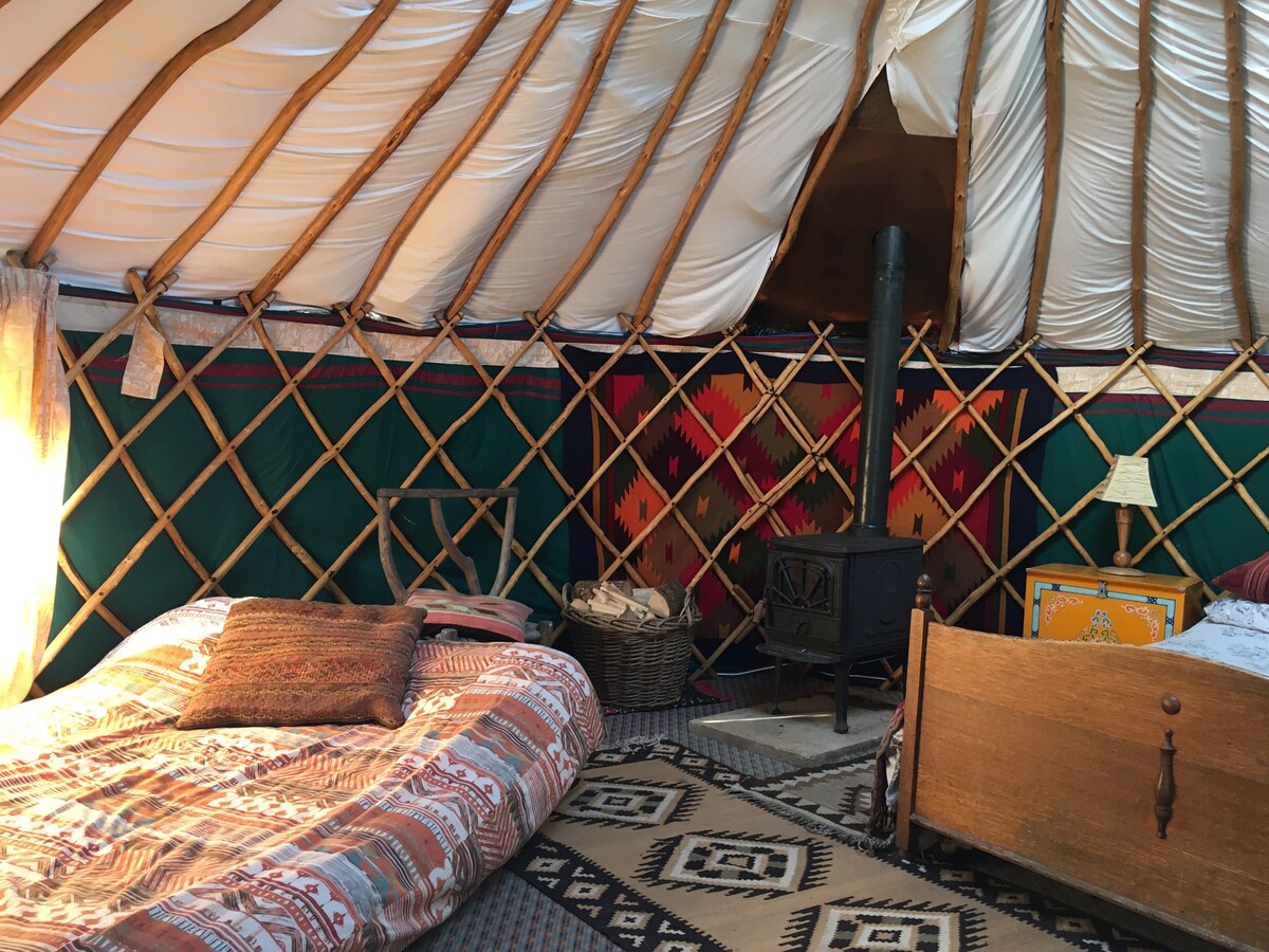 Woodland Yurt @ Inch Hideaway ，生态营地