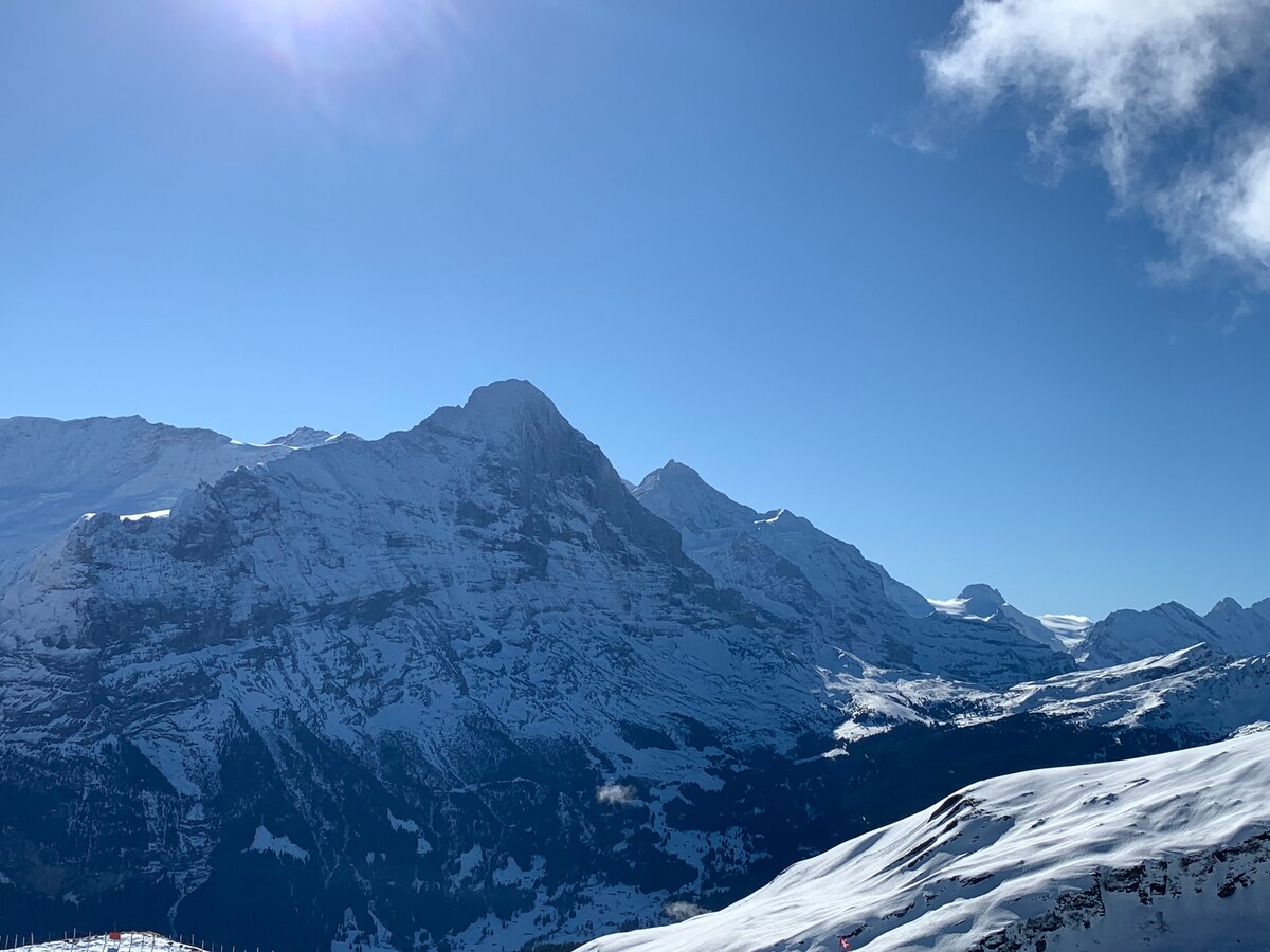 Grindelwald WHG完美的山景观Eiger/Jungfrau