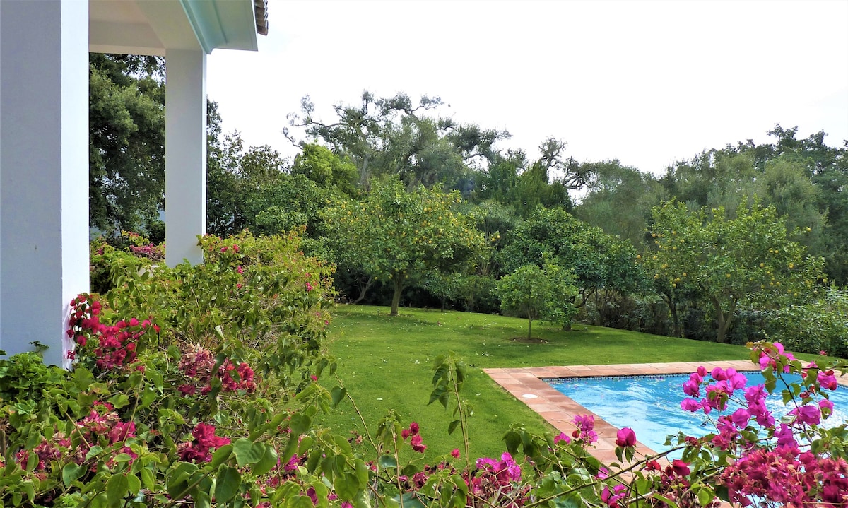 Villa with lovely garden at only 1 km. from beach