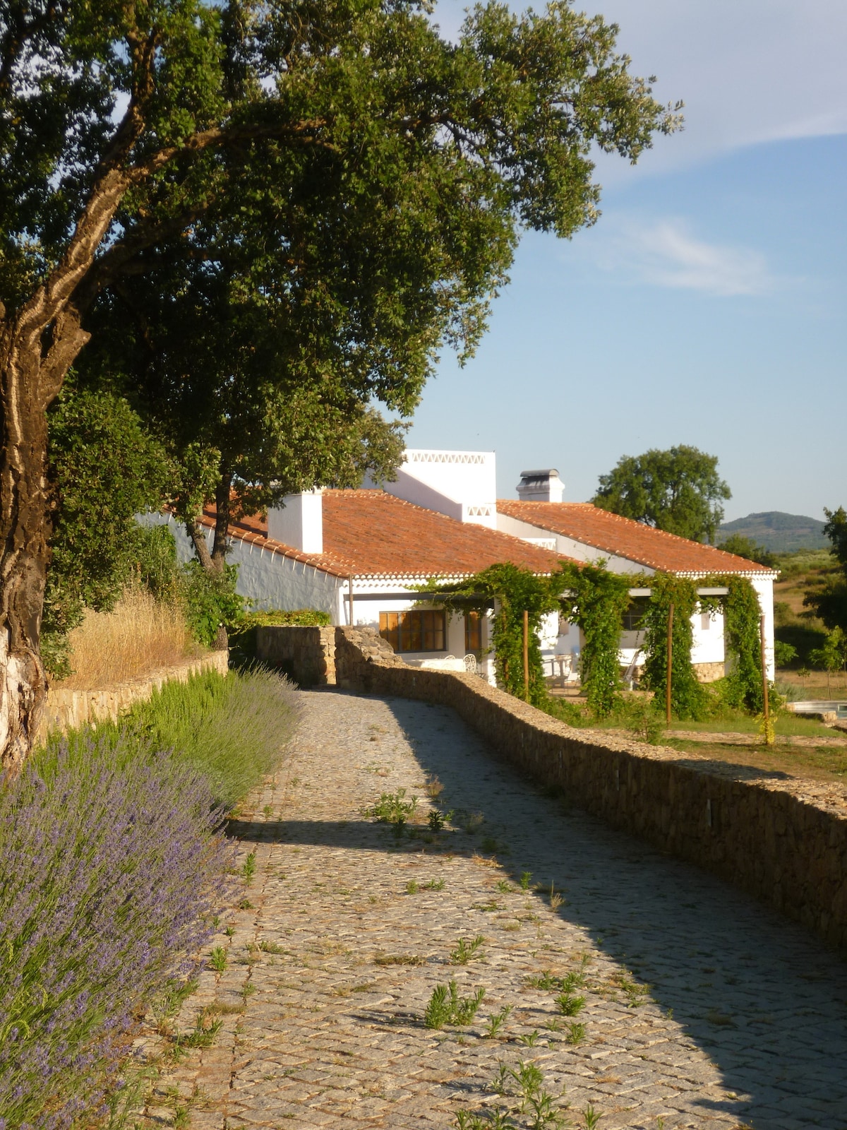 THE OLIVE PRESS- Perfect for family holidays- Pool