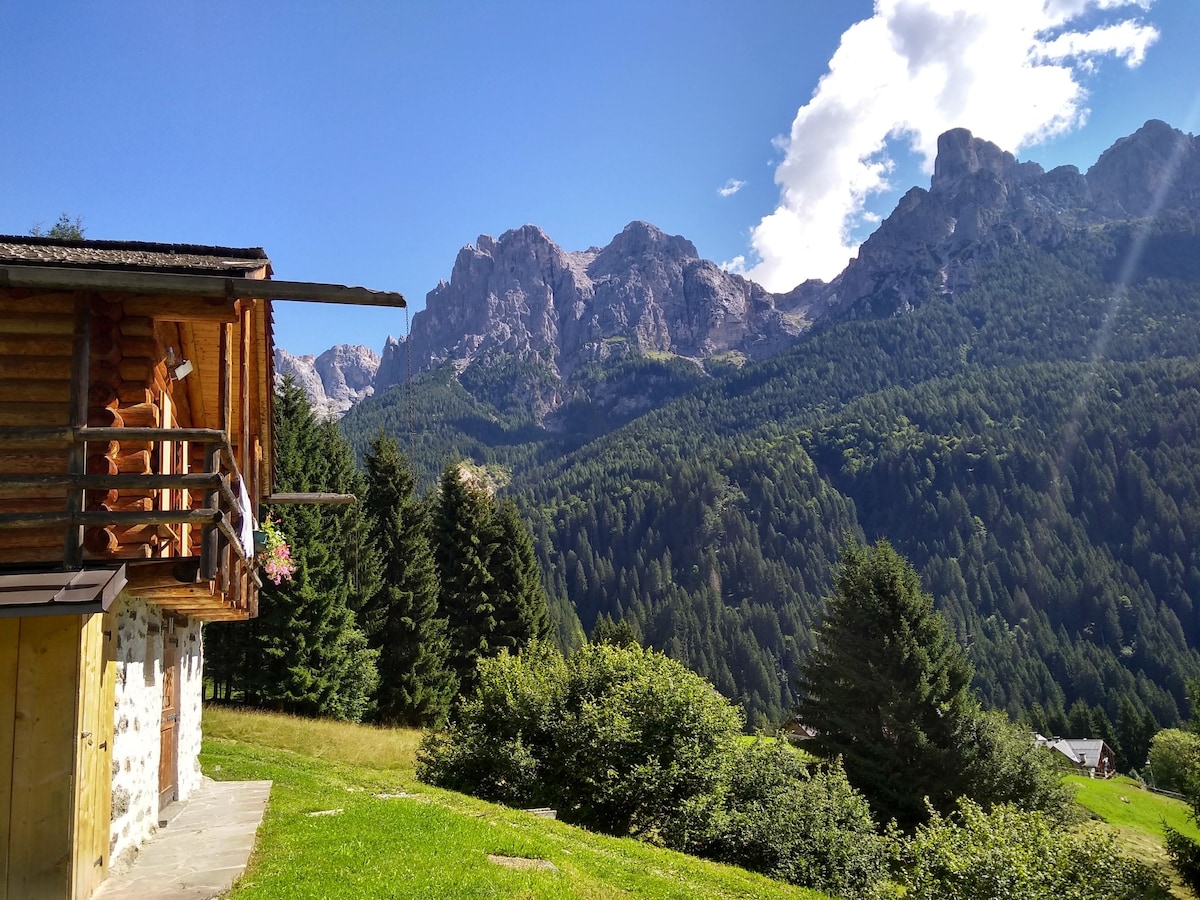 「大」度假木屋和Dolomites Retreat