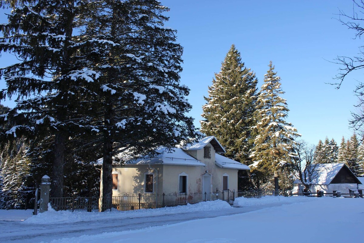 特伦蒂诺的Casa Rossa距离滑雪场200米