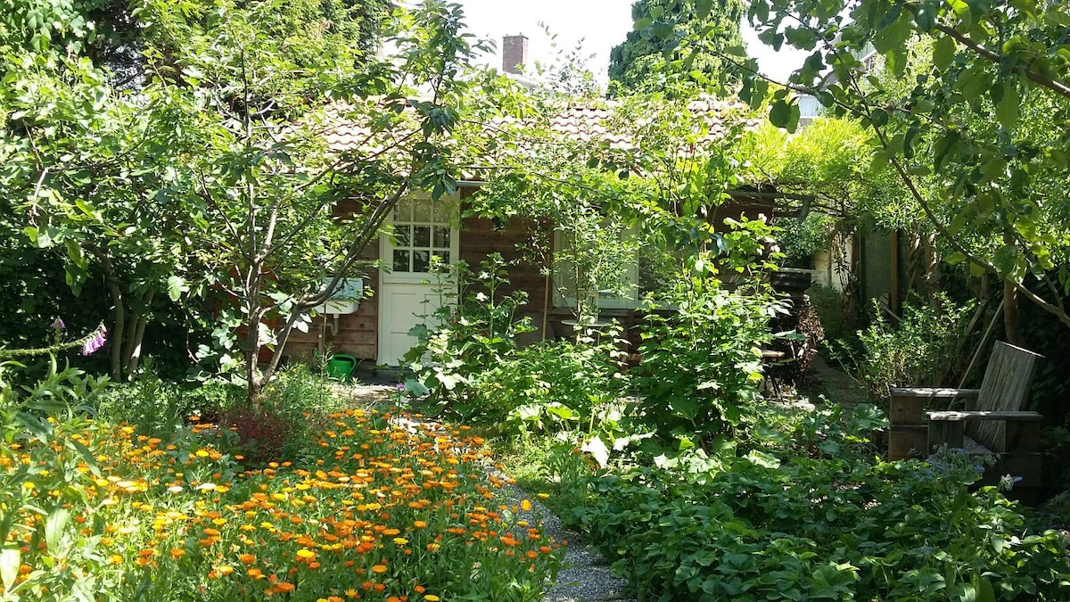 位于市中心附近宽敞的城市花园中的私人小屋