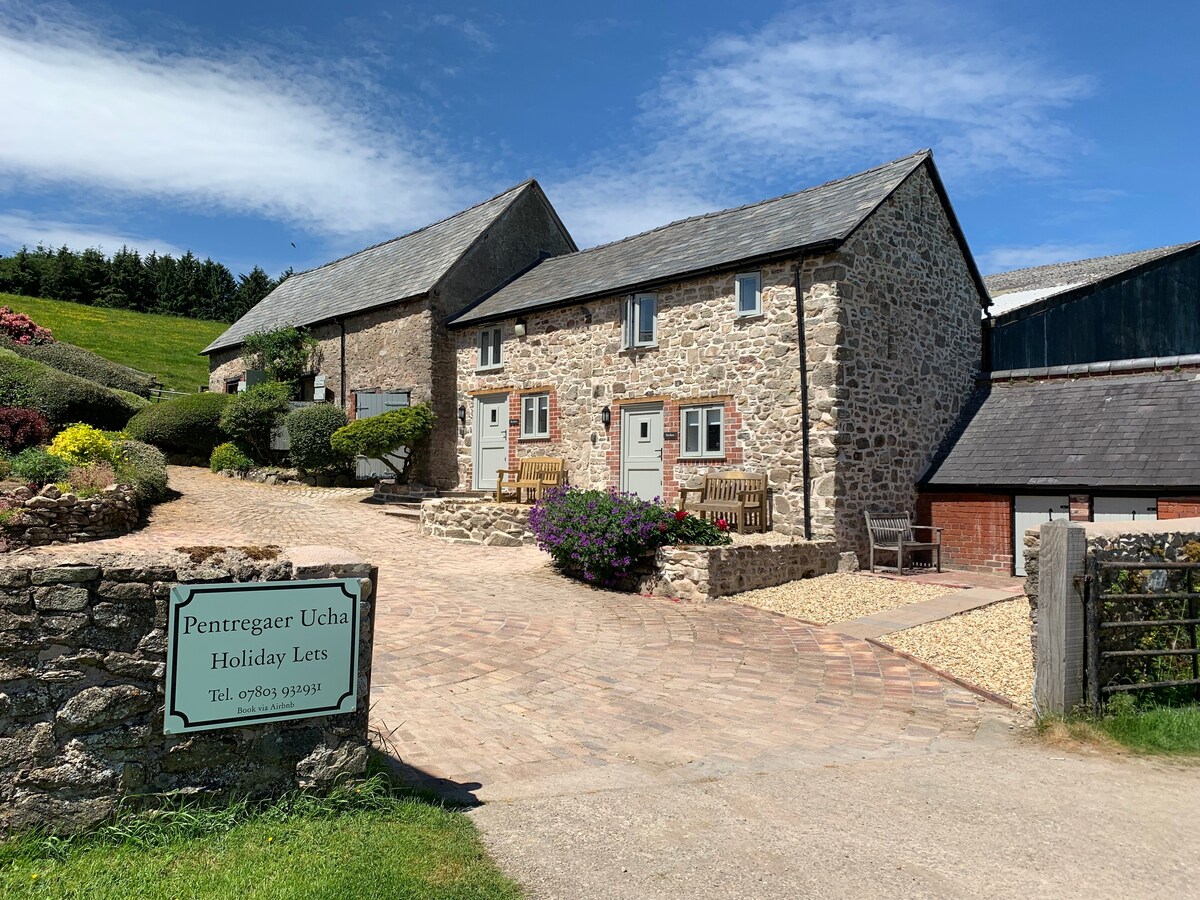 The Granary at Pentregaer Ucha、网球和湖泊。