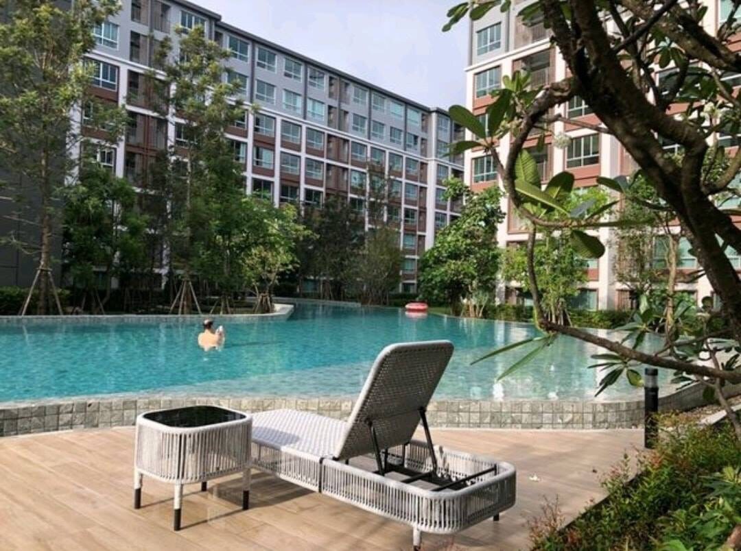 清迈豪华泳池高档公寓dcondo ping 距Central Festival步行5分钟 一卧一厅