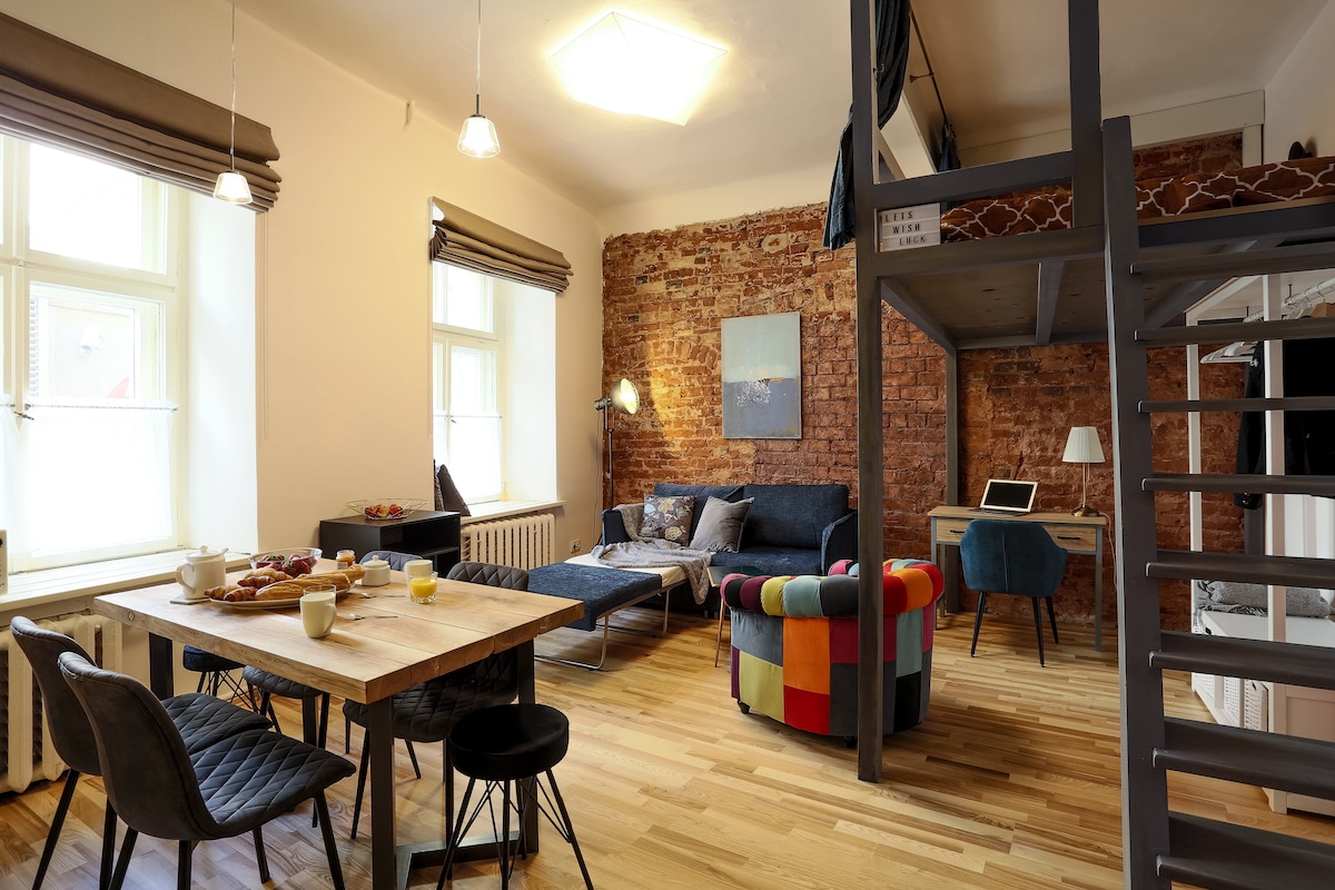 Old Riga Loft风格设计的单间公寓，带额外设施