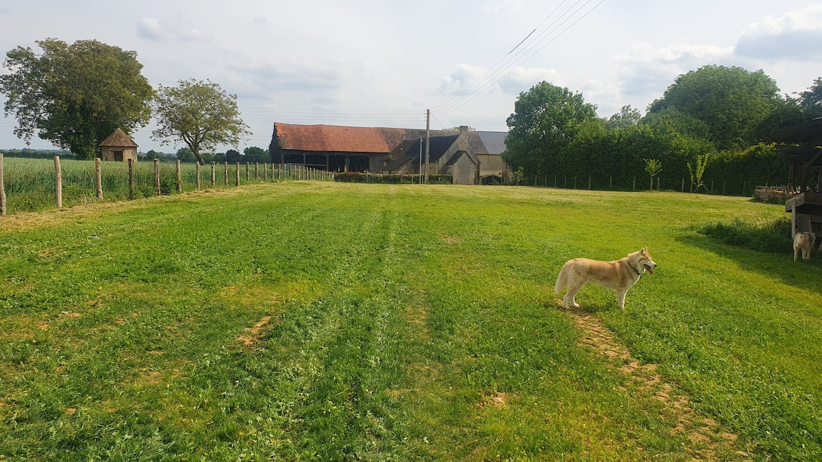 Maison en pleine nature