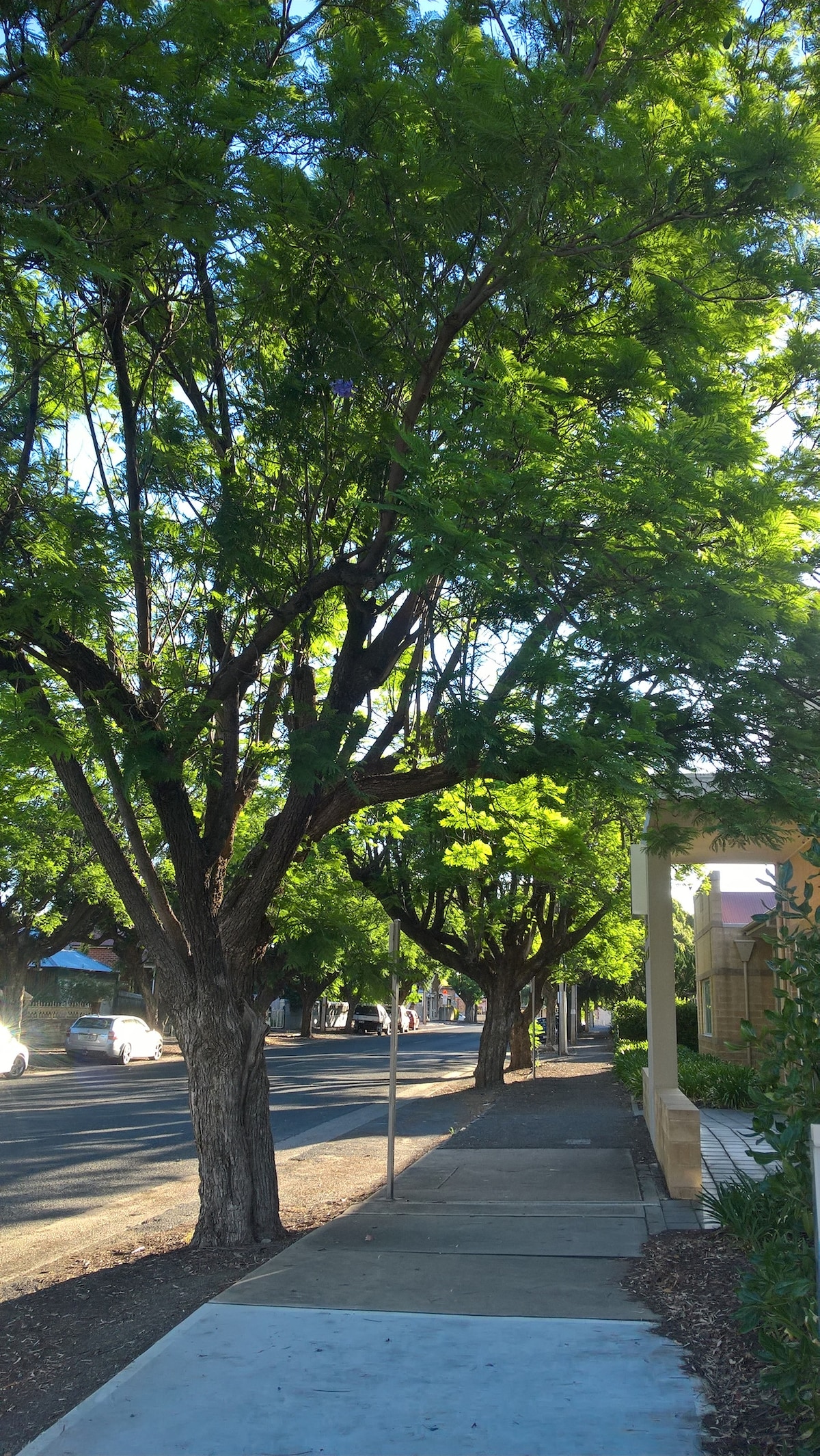 1881年法院，单间