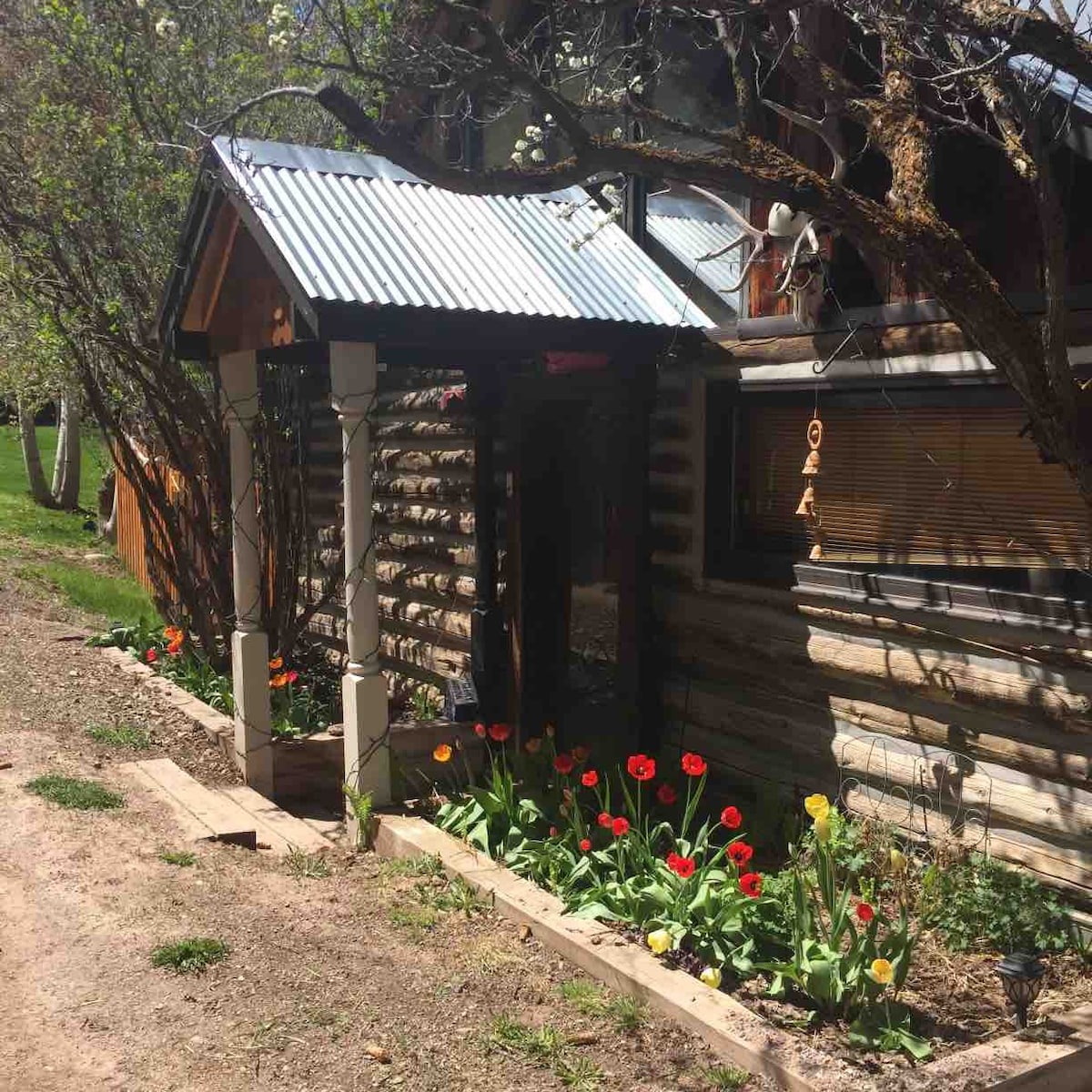 1880 Log Cabin with Mountain View