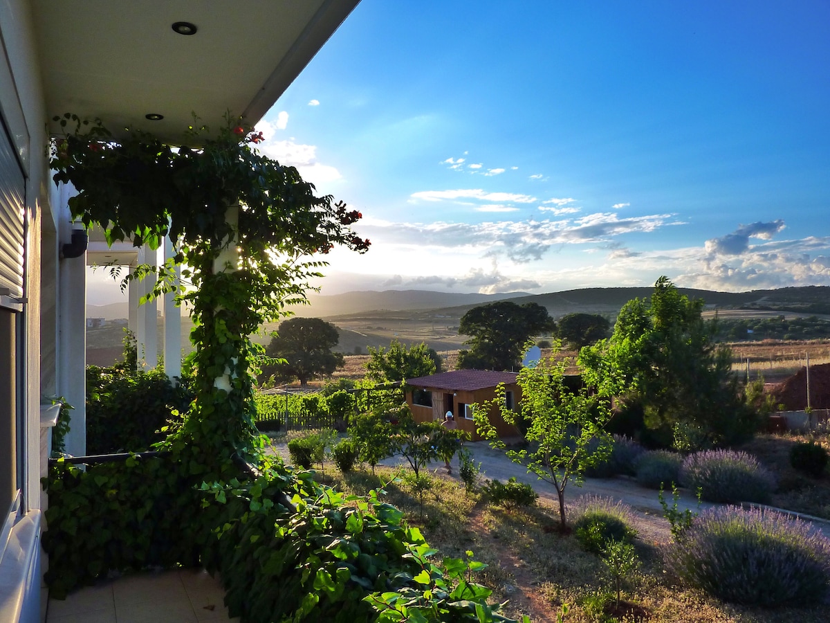 Vineyard Country House乡村别墅，空调+海景