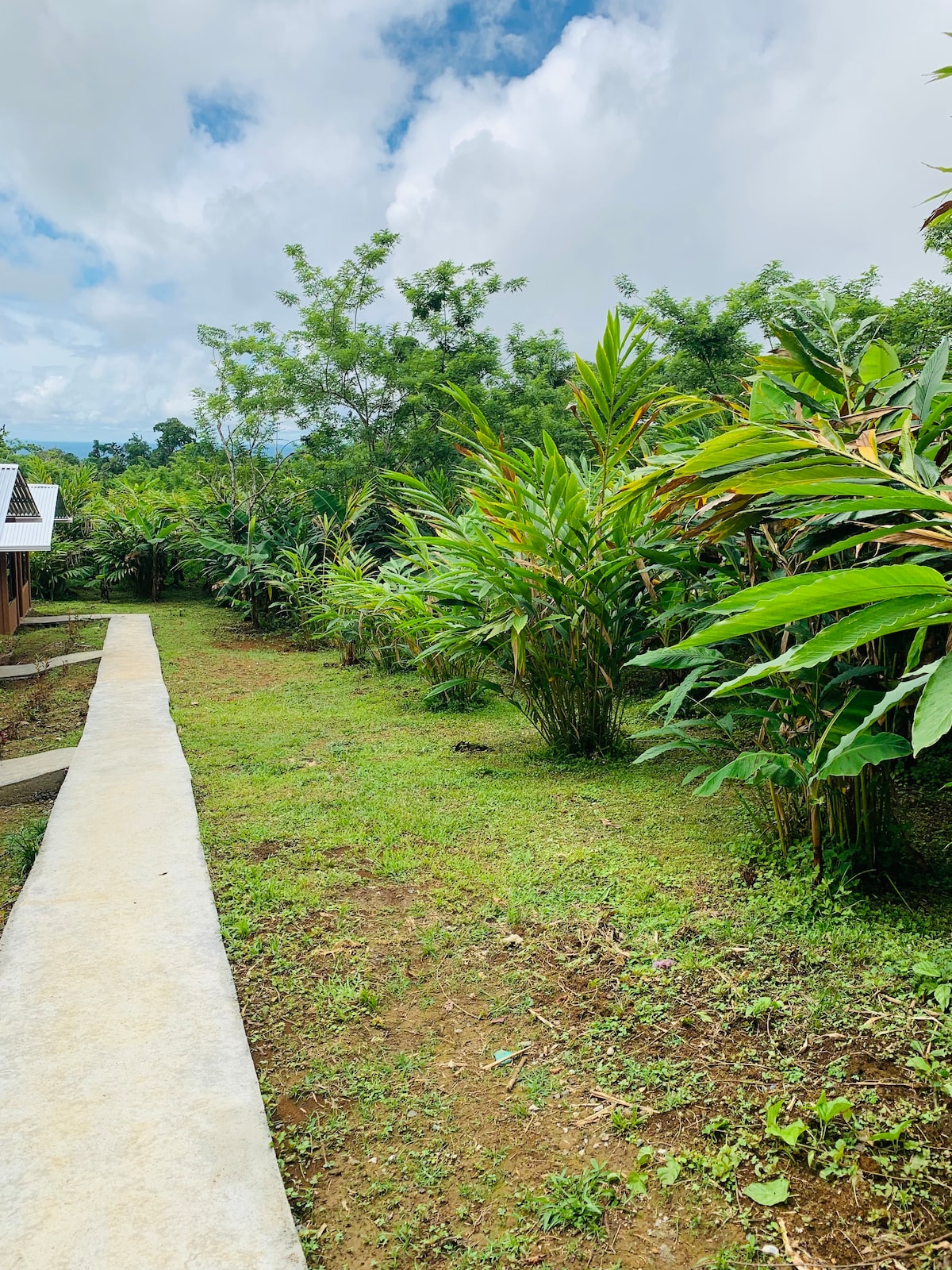 Cabin Río Celeste Inn # 3 （含早餐）。