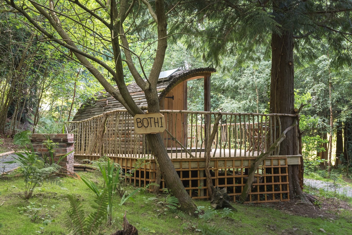 Bothi豪华露营吊舱/小屋at Celtic Woodland