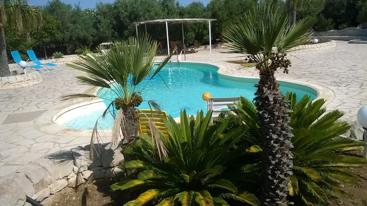 橄榄树和柠檬树绿色带泳池的房子