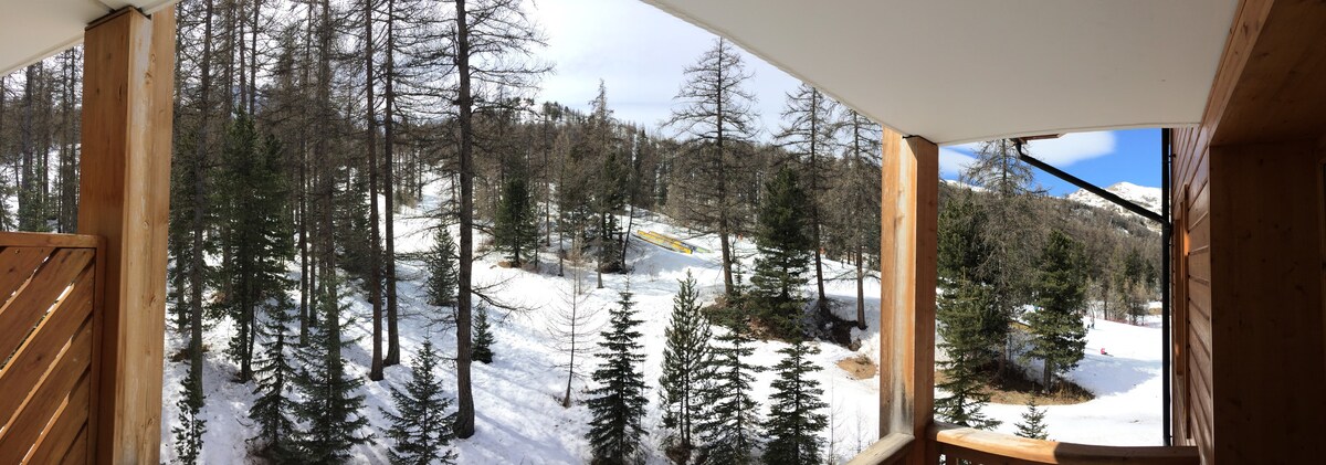 T3 ski aux pieds Alpes du Sud piscine