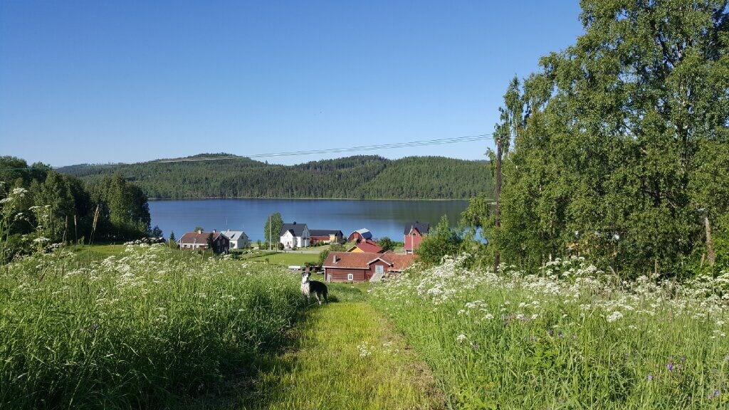 Hällesjö看得见风景的房子（ Gula Huset ）