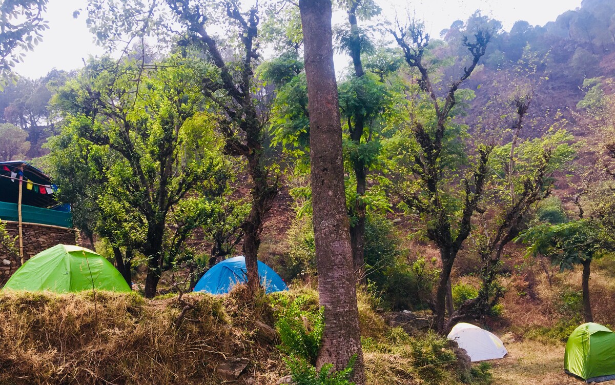 Himalayan Pinaki Camp