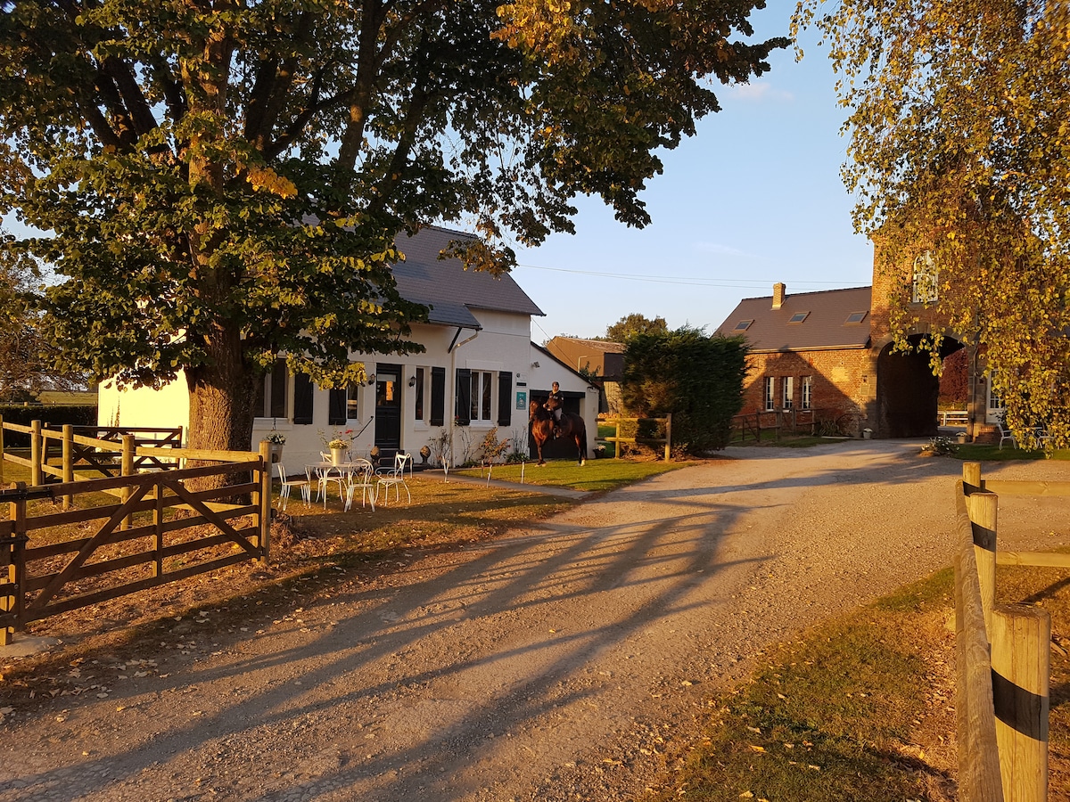 Ribeaufontaine: Le Grand Gîte