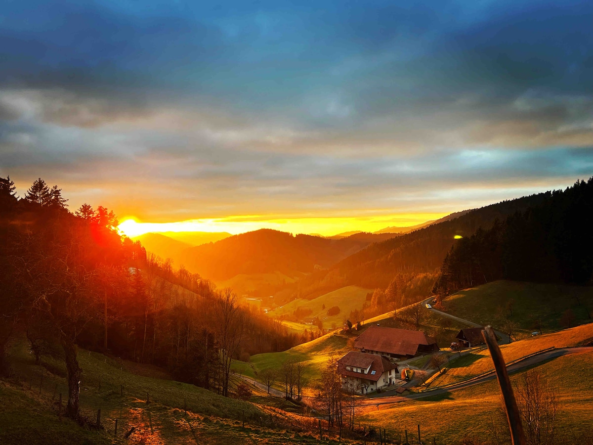 FeWo mit Whirlpool, Sauna & Schwarzwaldblick