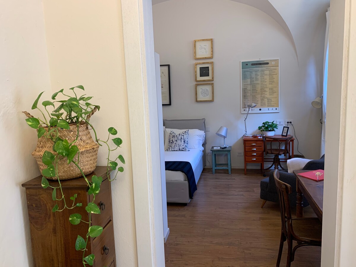 佛罗伦萨秘密花园开放式空间单间公寓