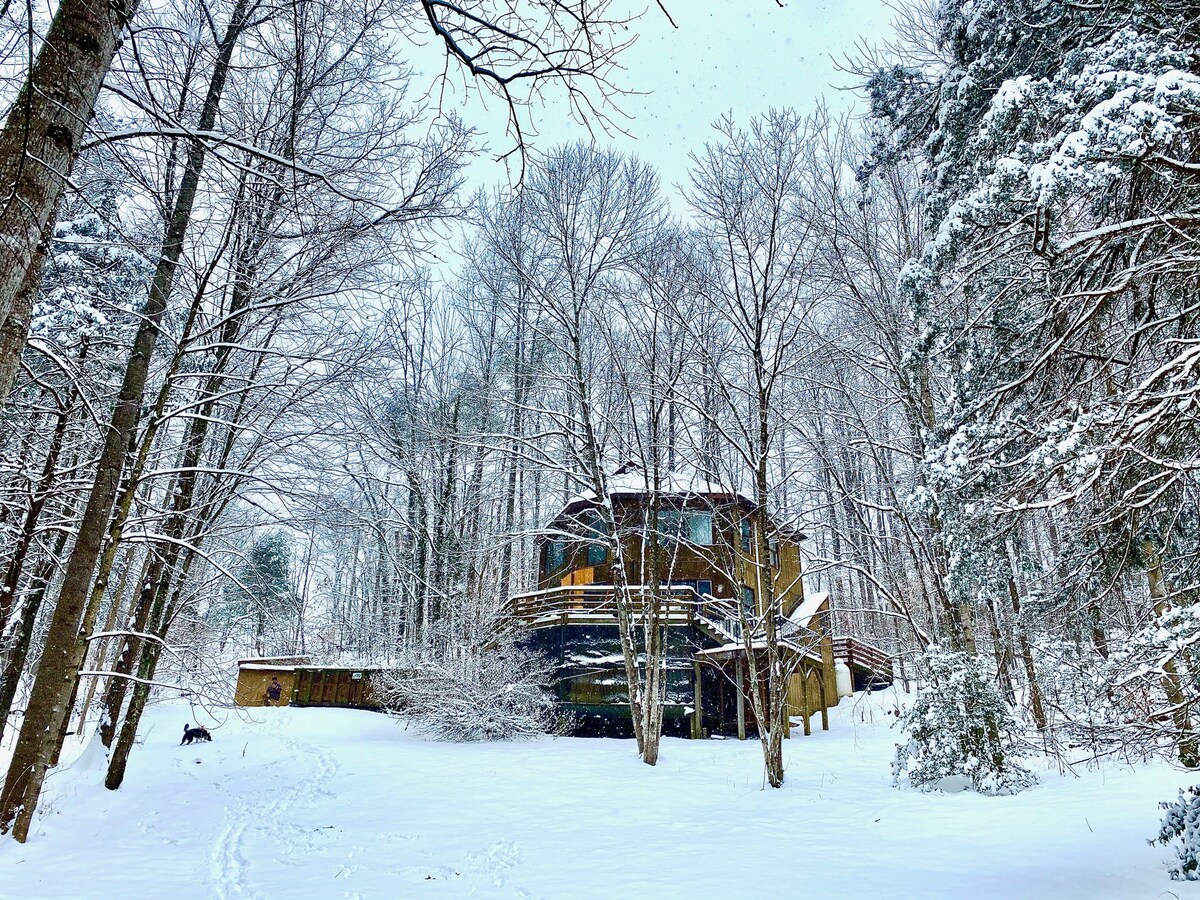 Shennadoah NP森林中的设计师小木屋