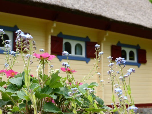 茅草屋顶自然爱好者之家Lueneburg Heath