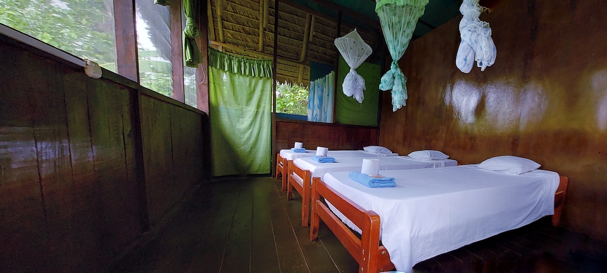 Tambopata Jaguarundi's inn