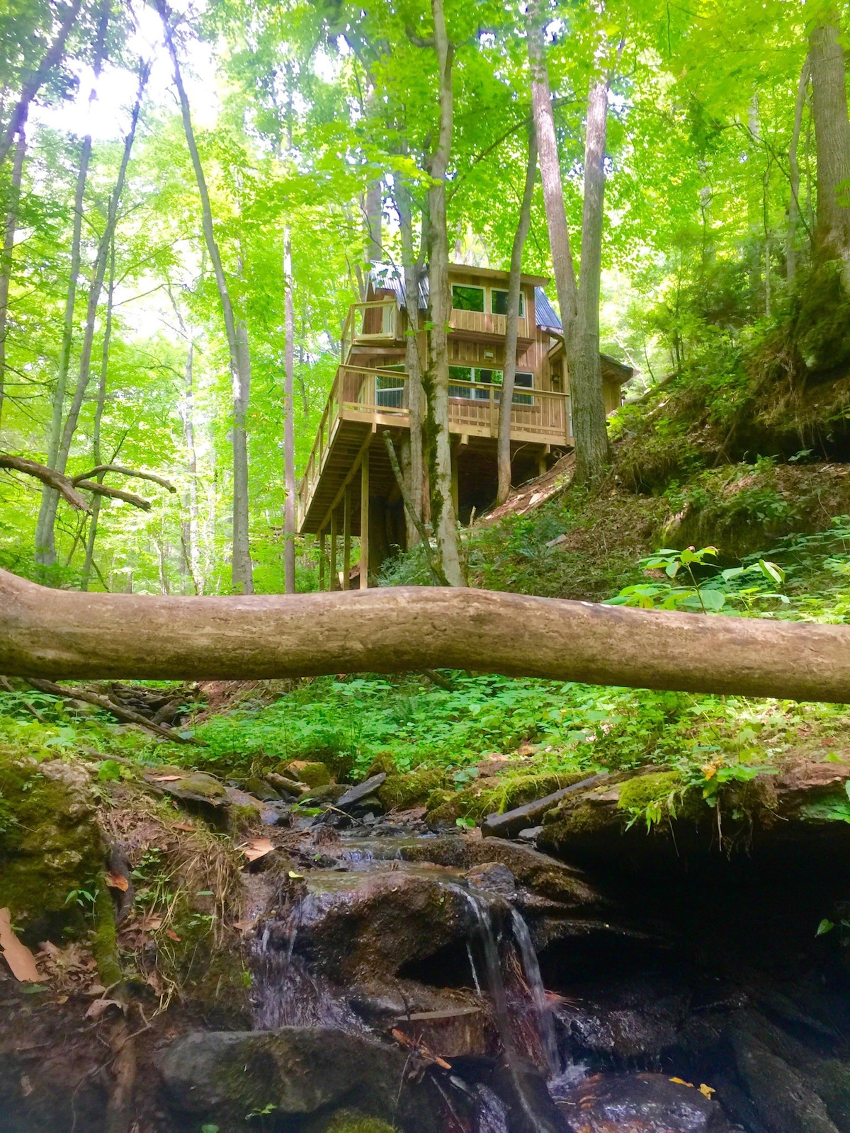 糖溪树屋（ Sugar Creek Treehouse ） ，配备热水浴池