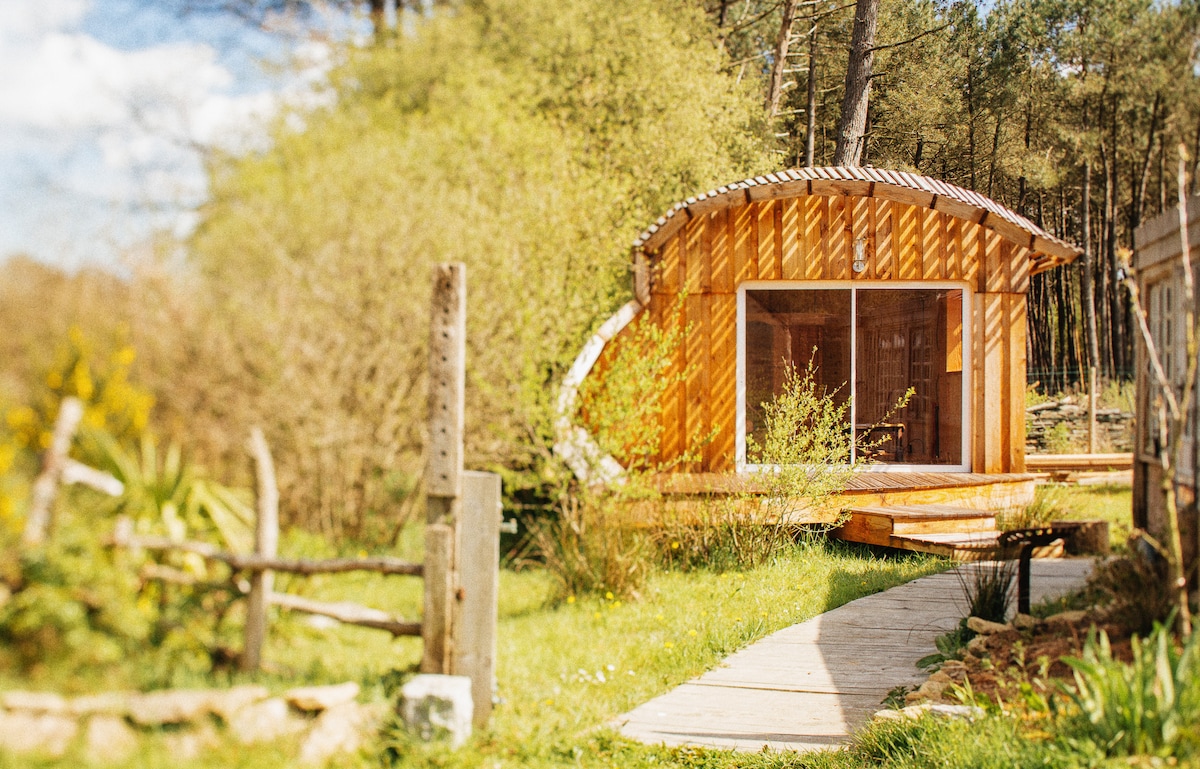 Cabane en bois écologique et confortable