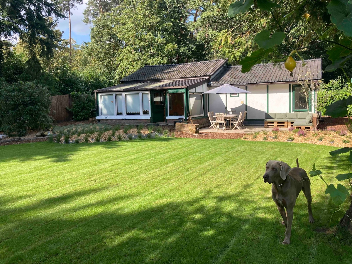 Chalet waar honden hun baasjes op vakantie nemen.