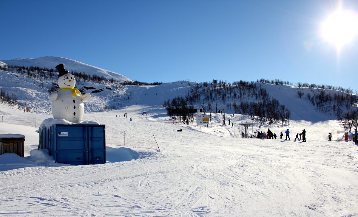 可爱的山间小木屋，滑雪进出出