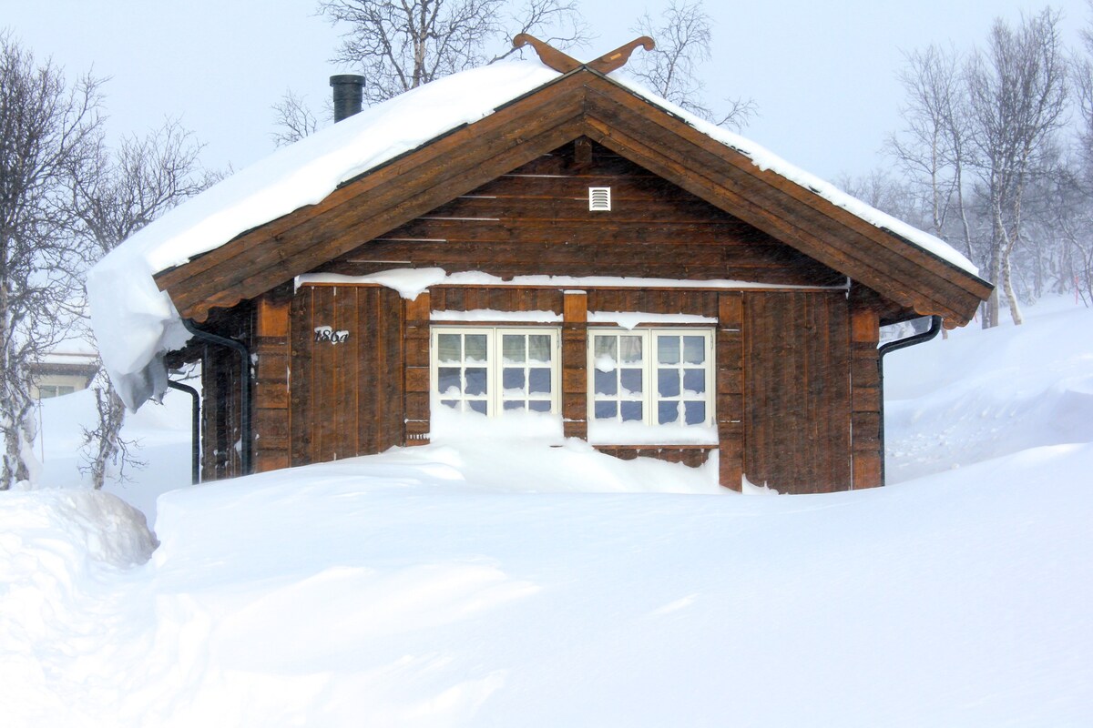 可爱的山间小木屋，滑雪进出出